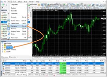 Daily Open Price MT4 Indicator Location