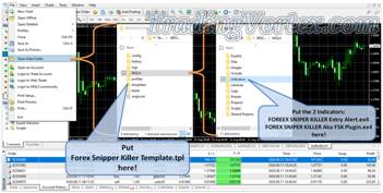 Forex Sniper Killer System MT4 Installation